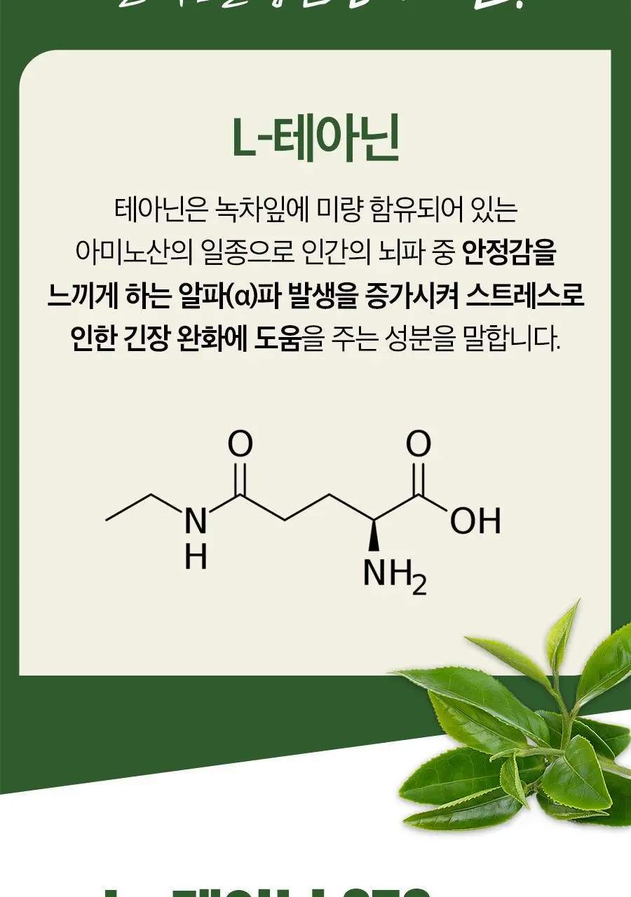 [3+1] 내츄럴플러스 스트레스엔 테아닌 60정 1박스 / 3박스 구매 시 본품 1박스 증정 상세페이지 13